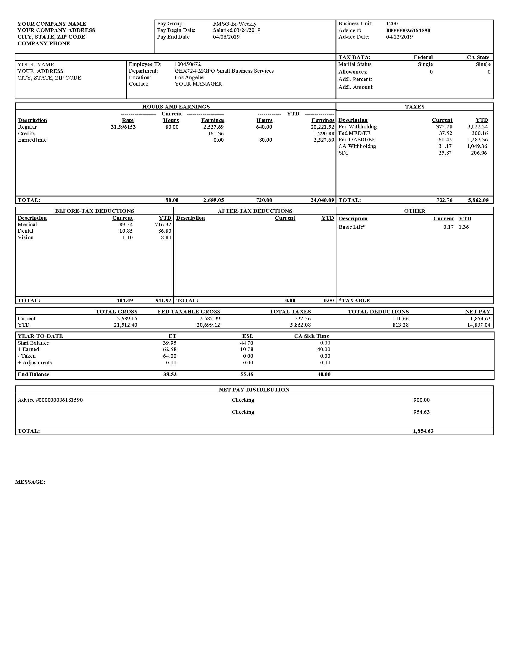 Pay Stub Template For Small Business from www.speedystub.com